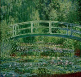 Le bassin aux nymphéas